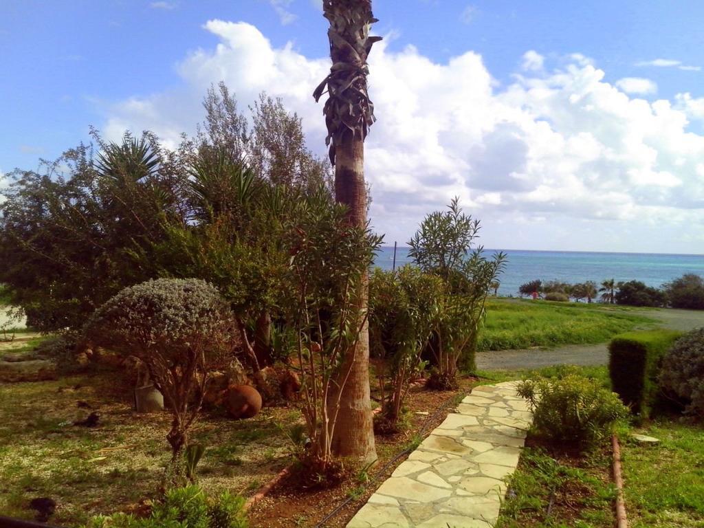 Yialos Apartments Pissouri Værelse billede